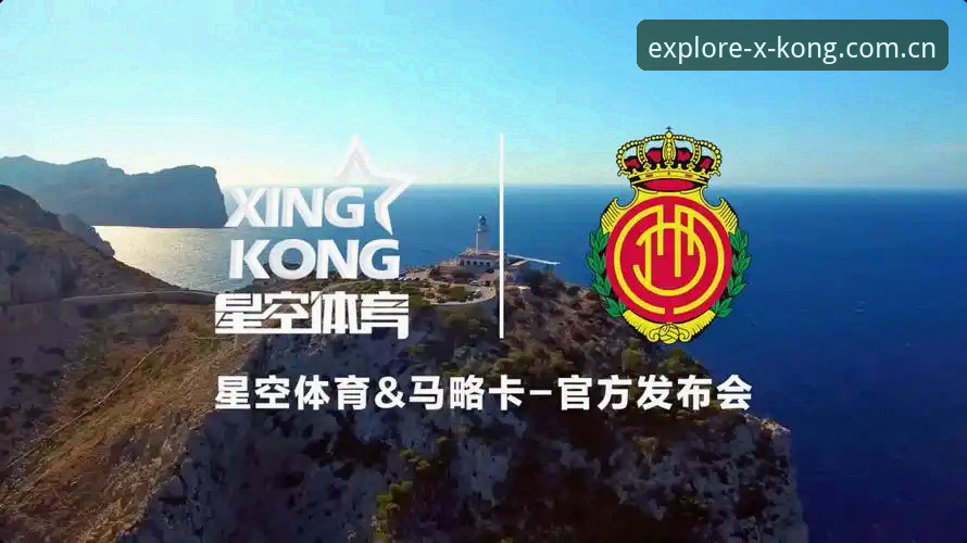 揭秘星空体育官网背后：探索星域纪spark login你不知道的事